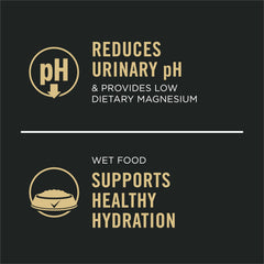 Purina Pro Plan bol servi pour encourager hydratation et appétit du chat