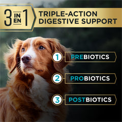 Purina Pro Plan bol plein illustrant portion quotidienne appétente
