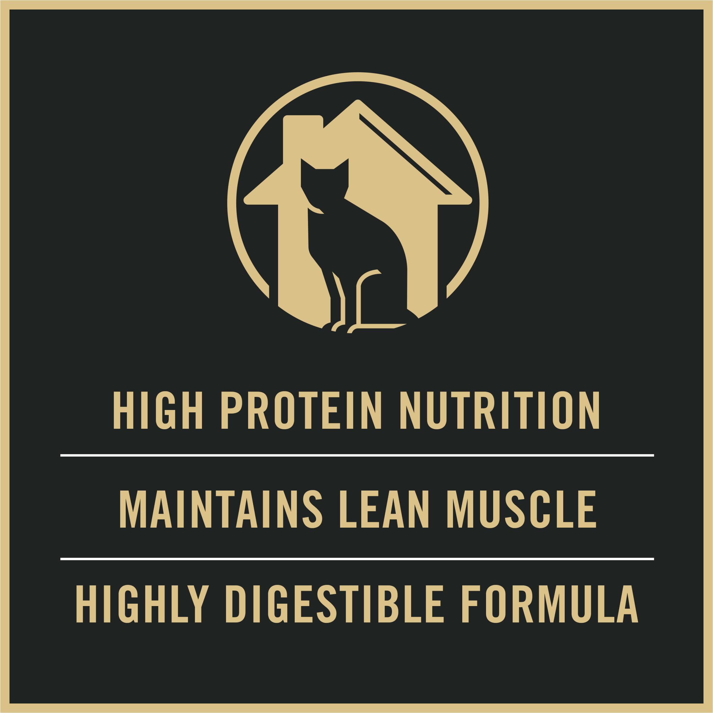 Purina Pro Plan bol servi à la maison montrant portion équilibrée et appétit soutenu