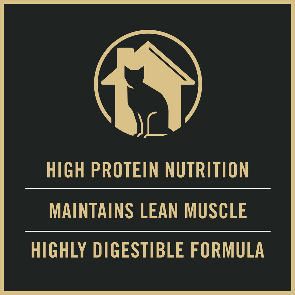 Purina Pro Plan bol servi à la maison montrant portion équilibrée et appétit soutenu