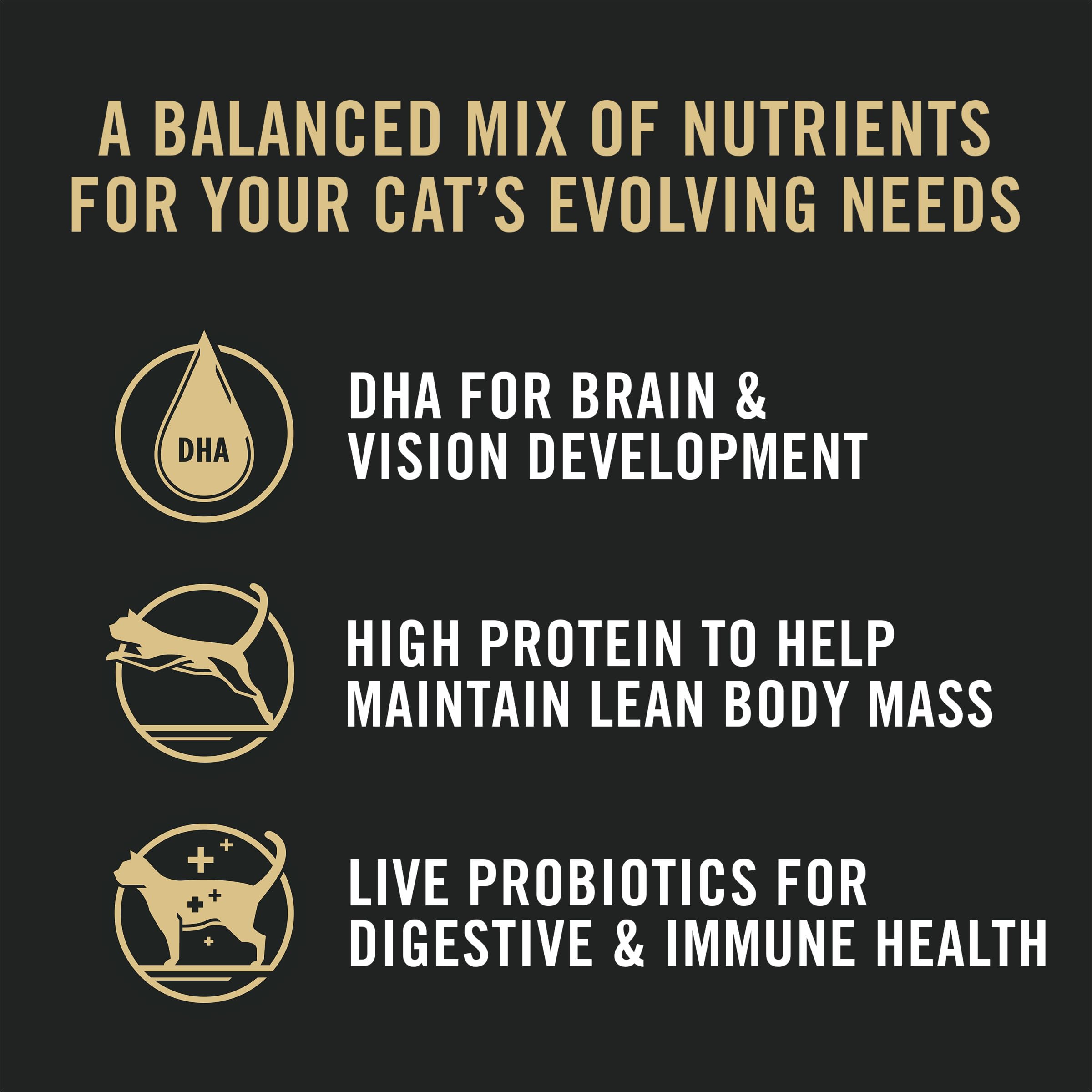 Purina Pro Plan bol servi en cuisine illustrant facilité d’utilisation pour multi-chat