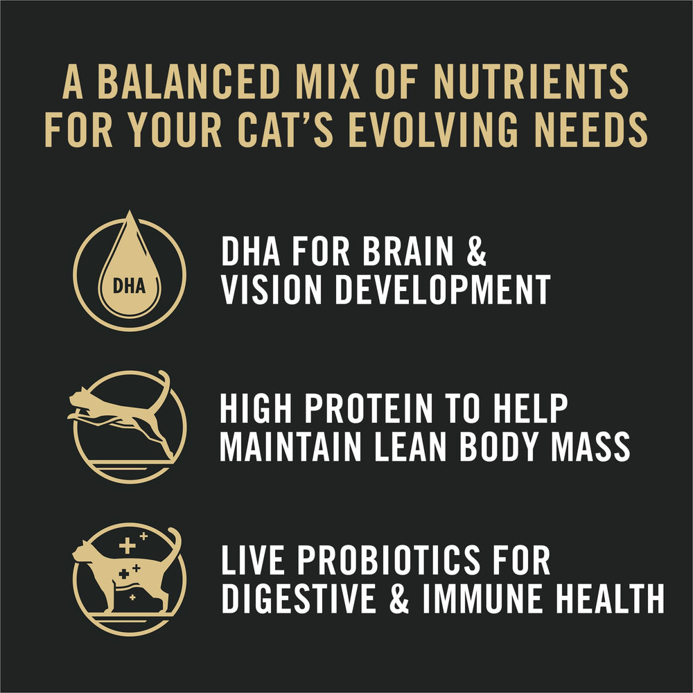 Purina Pro Plan bol servi en cuisine illustrant facilité d’utilisation pour multi-chat