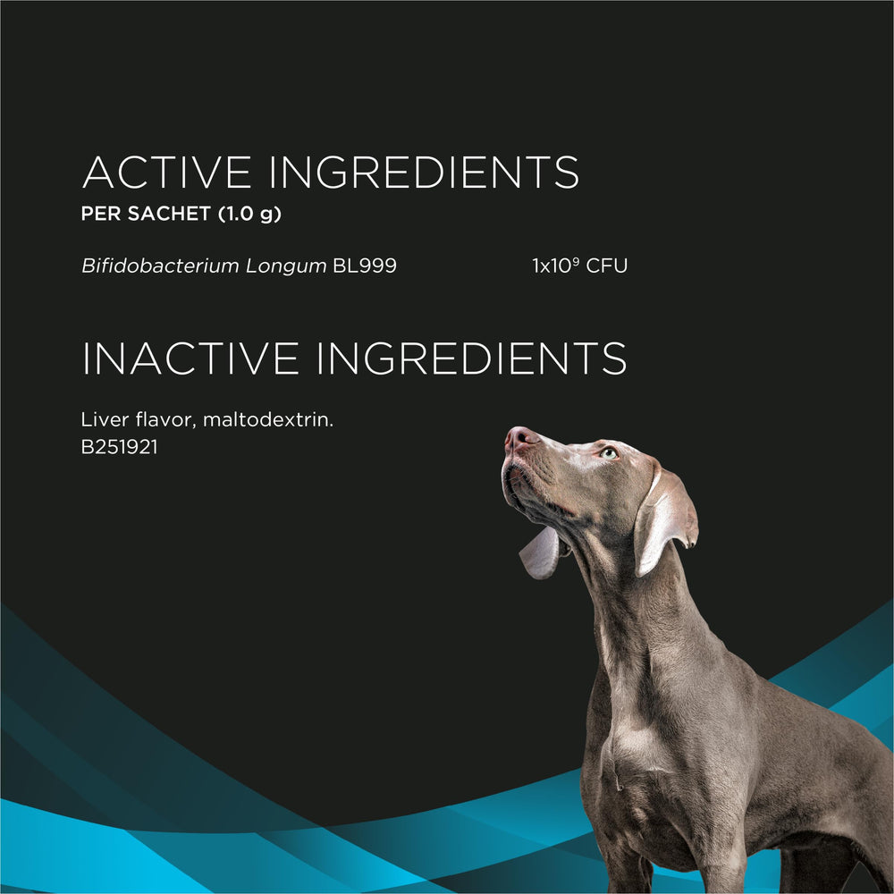 Poudre Purina Pro Plan ajoutée à croquettes, facilite acceptation alimentaire