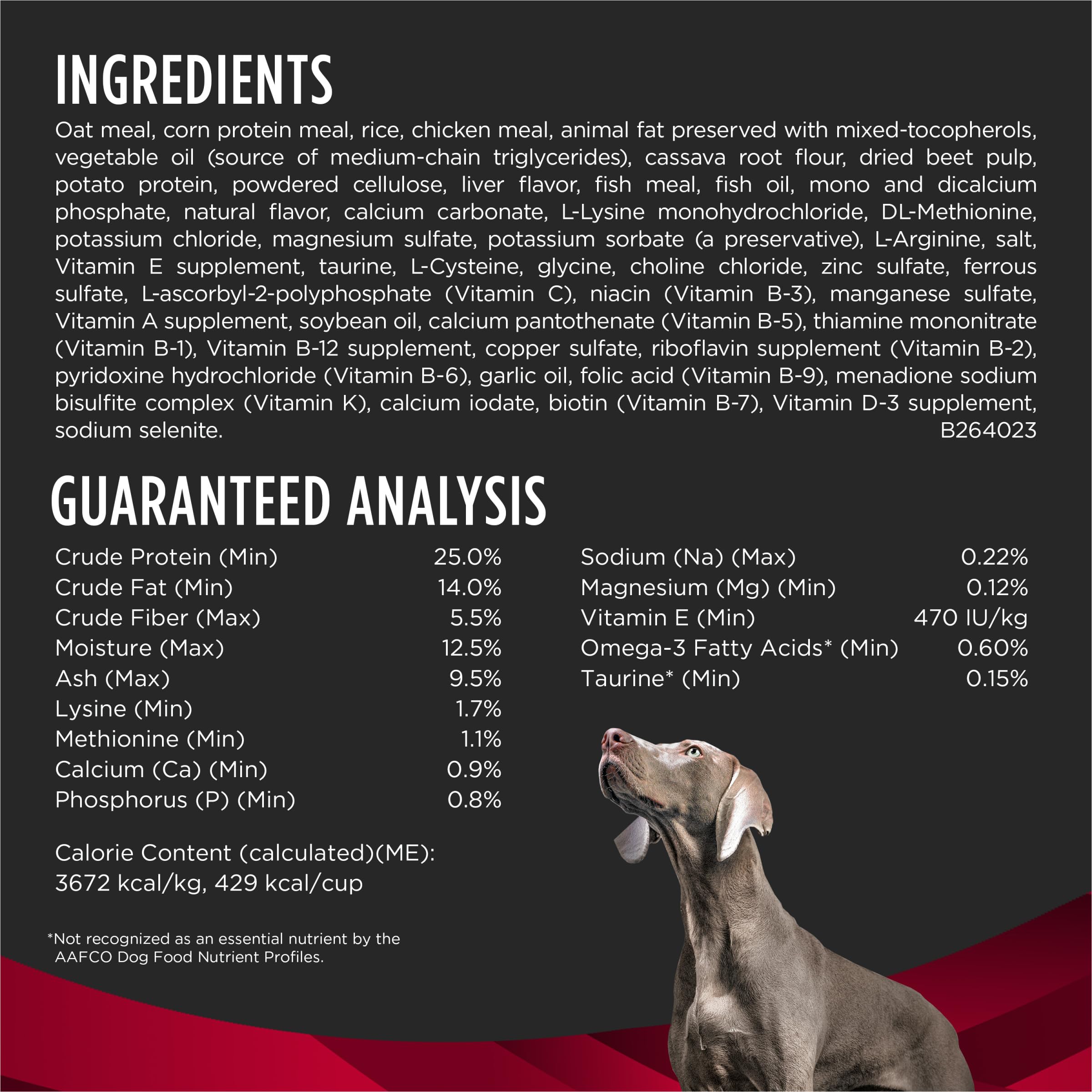 Purina Pro Plan CardioCare chien adulte mangeant, soutien clinique pratique au quotidien