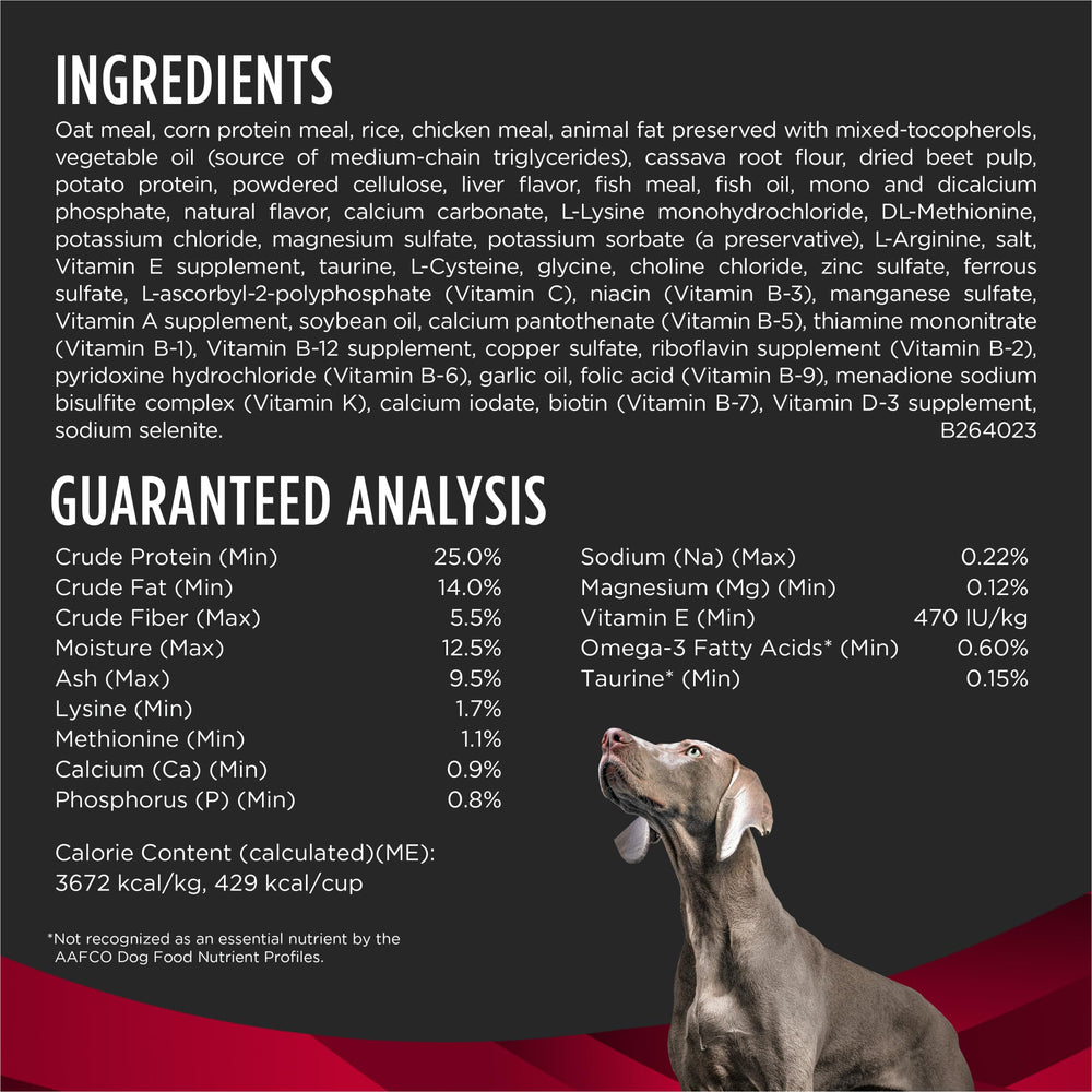 Purina Pro Plan CardioCare chien adulte mangeant, soutien clinique pratique au quotidien