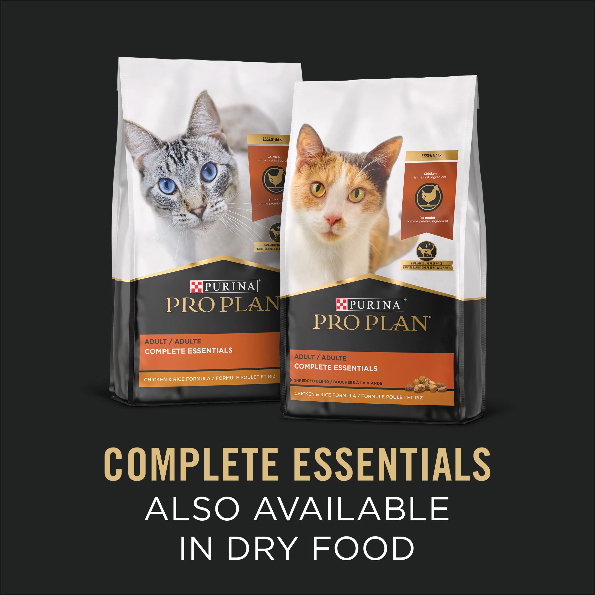 Purina Pro Plan chat dégustant la recette illustrant appétit et acceptation