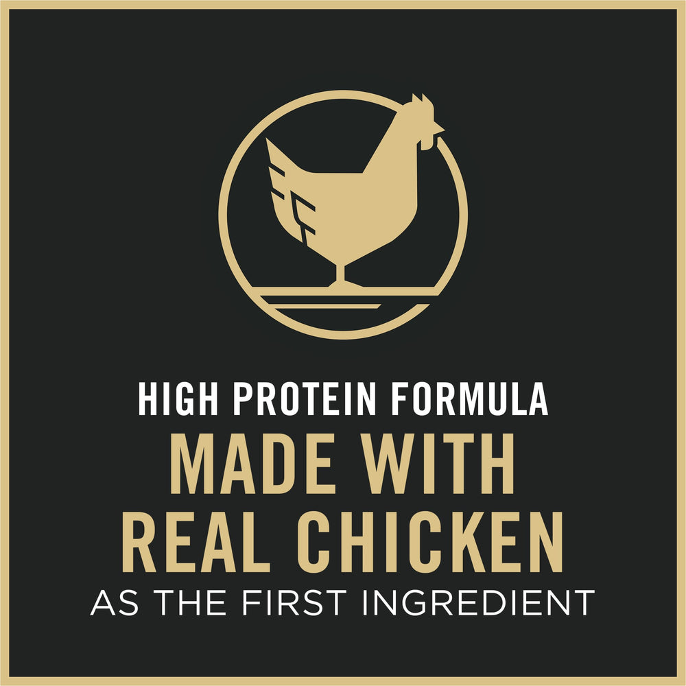 Purina Pro Plan chat qui mange en cuisine illustrant appétence et quotidien