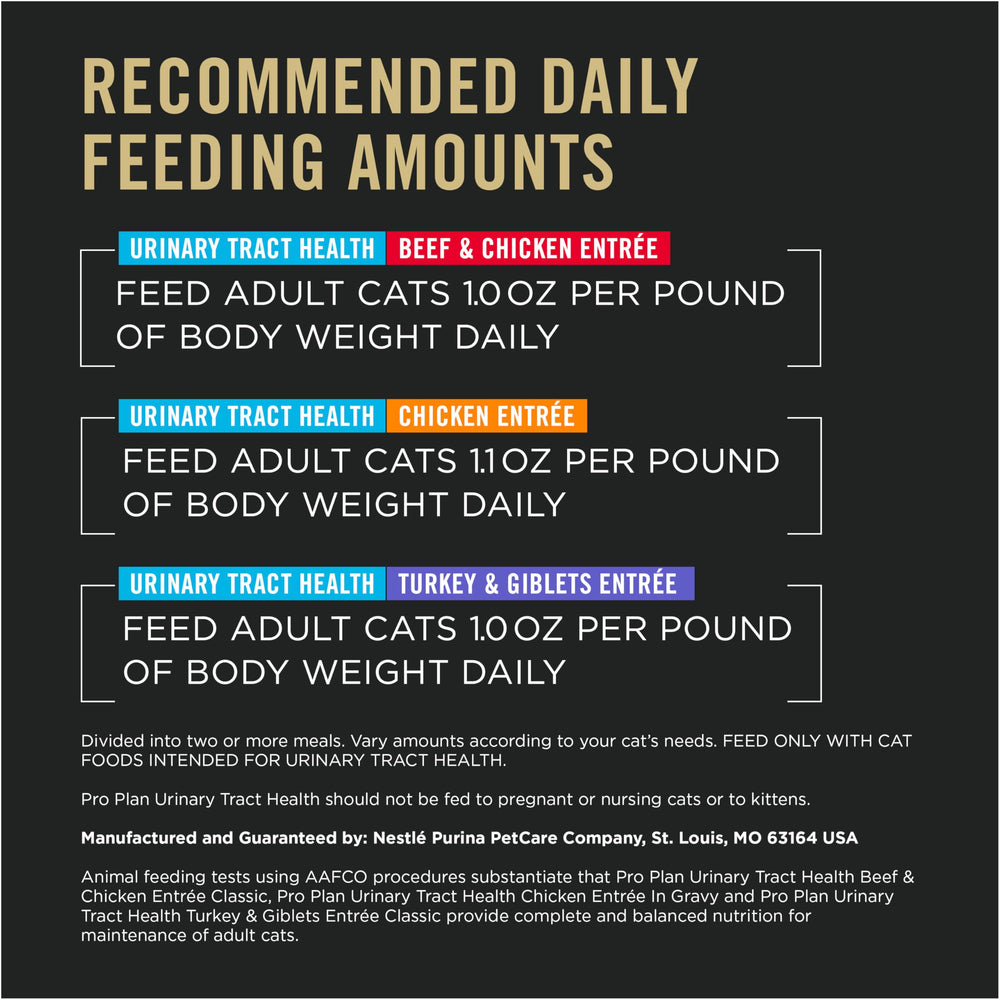 Purina Pro Plan chat mange dans une cuisine, moment de repas agréable et sain