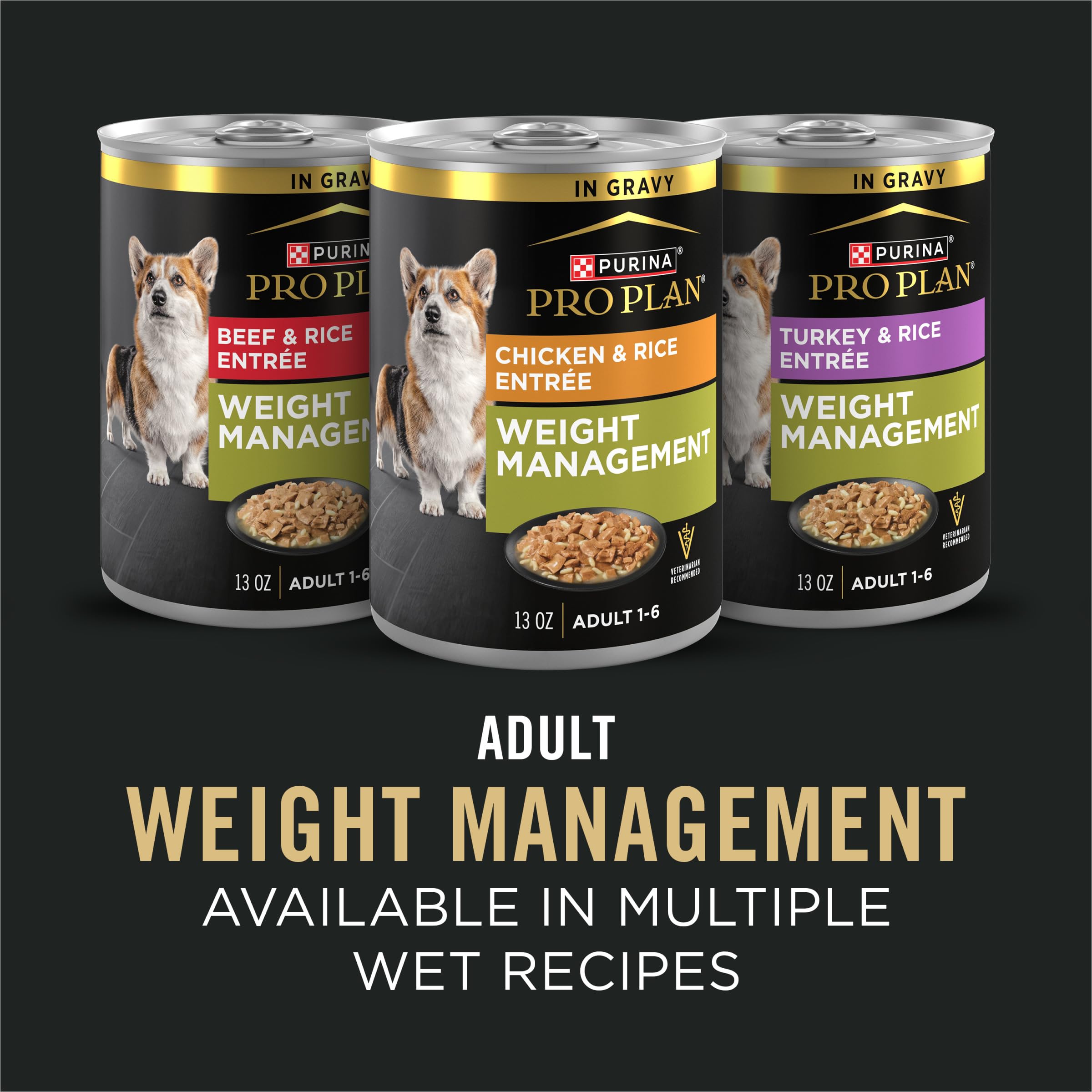 Purina Pro Plan chien dégustant la nourriture montrant appétence et acceptation