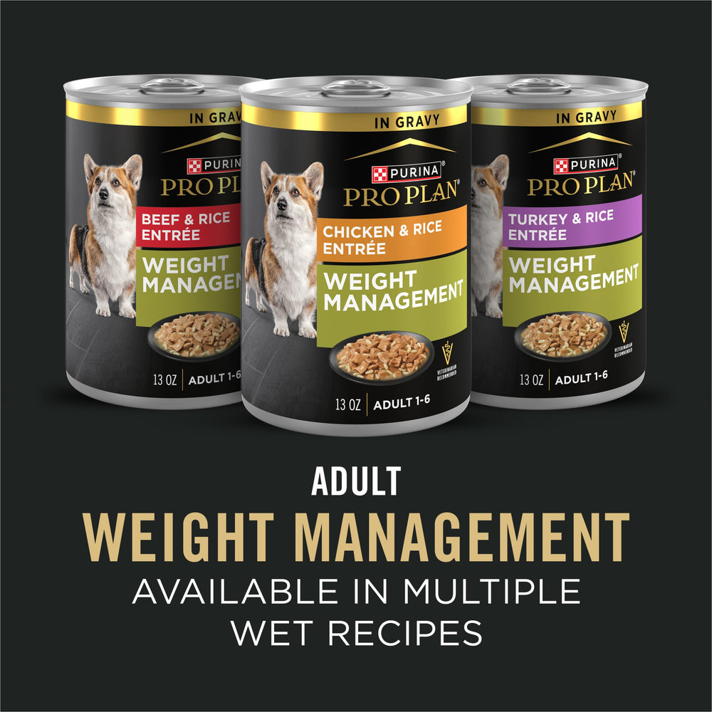 Purina Pro Plan chien dégustant la nourriture montrant appétence et acceptation