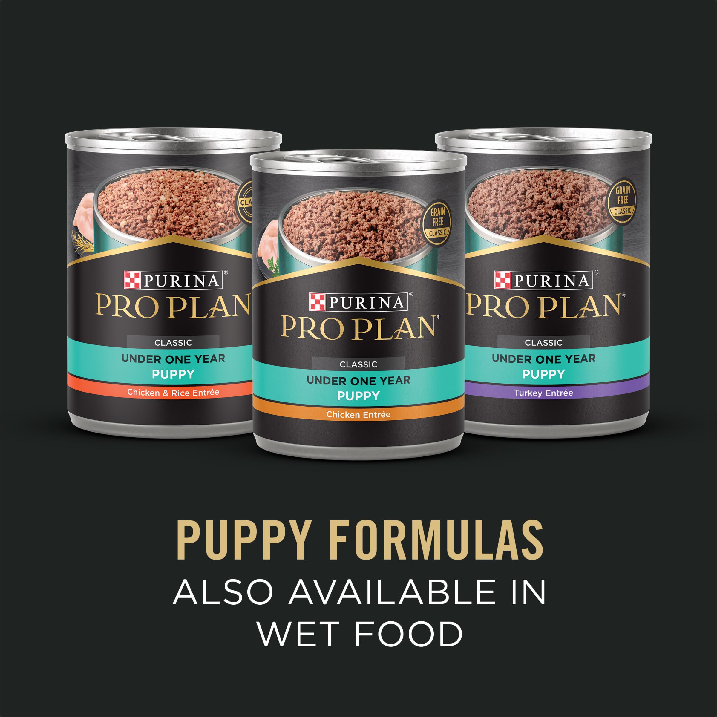 Purina Pro Plan scène extérieure chiot actif après repas nutritif