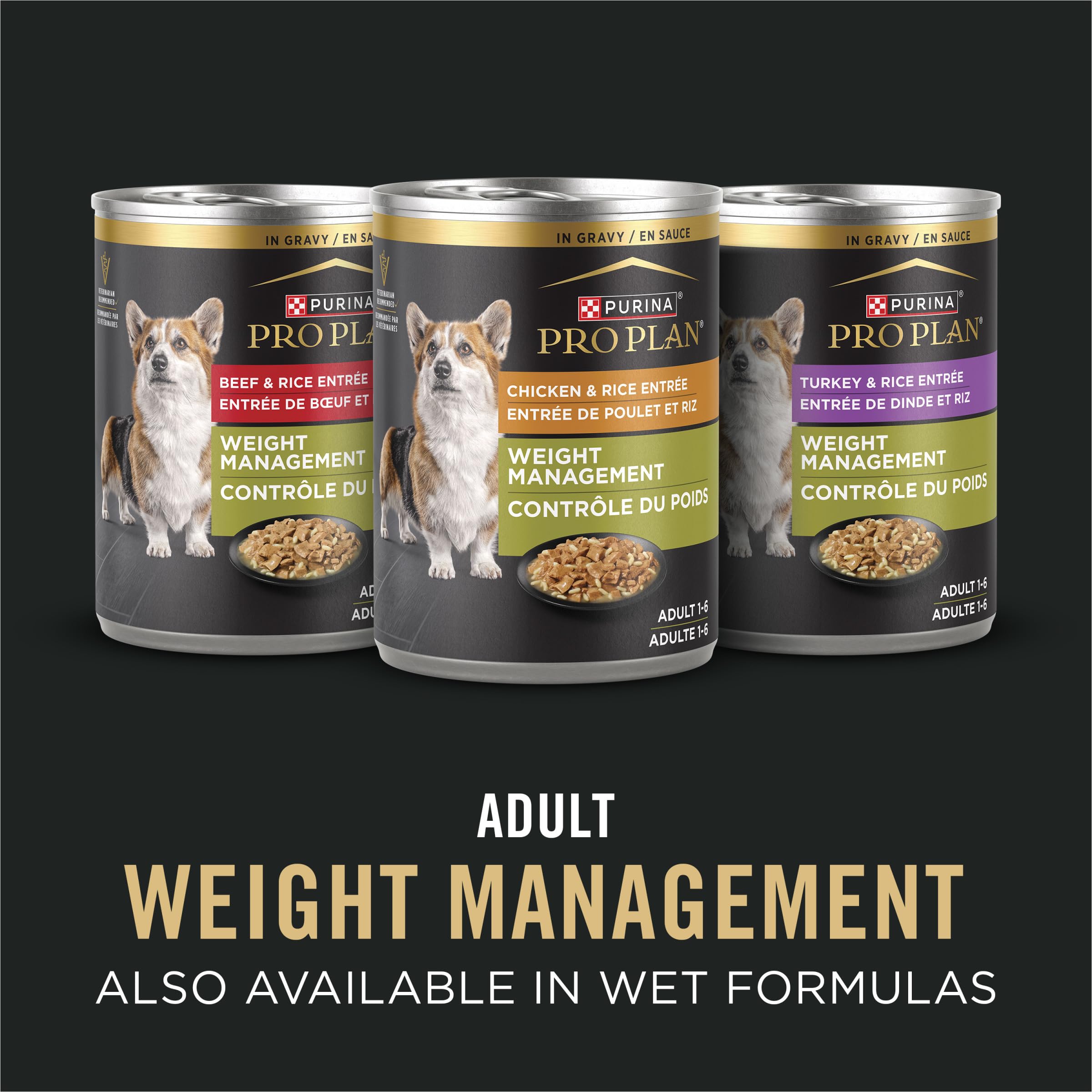 Purina Pro Plan portion servie dans un bol pour contrôle facile des rations