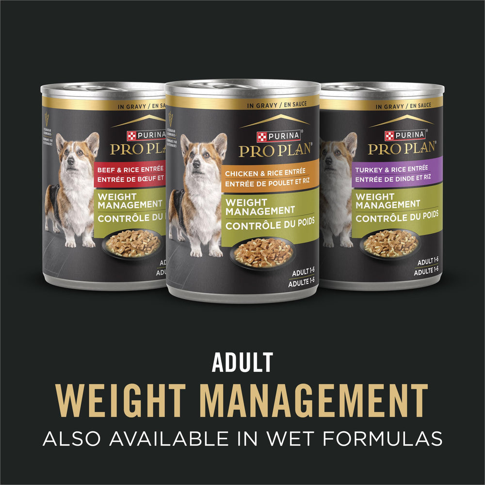 Purina Pro Plan portion servie dans un bol pour contrôle facile des rations