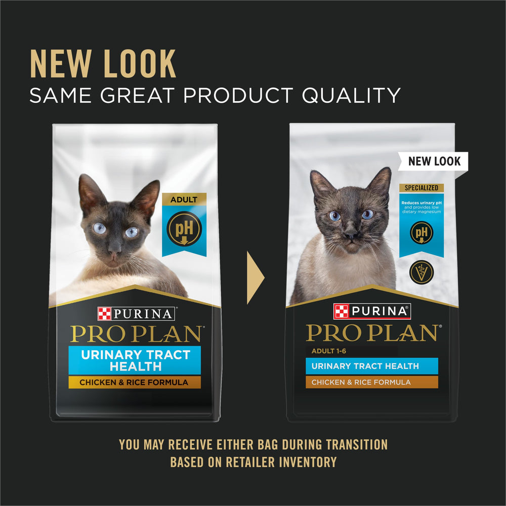 Purina Pro Plan croquettes gros plan montrant la texture et qualité