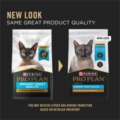 Purina Pro Plan croquettes gros plan montrant la texture et qualité