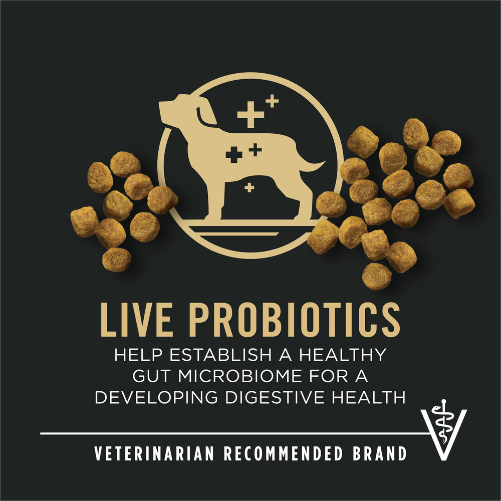 Purina Pro Plan croquettes gros plan montrant la taille adaptée et l'appétence accrue
