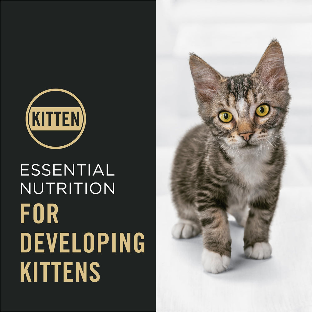 Purina Pro Plan taille des croquettes adaptée aux mâchoires des chatons