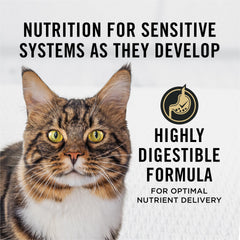 Purina Pro Plan croquettes gros plan montrant texture appétente et qualité protéique