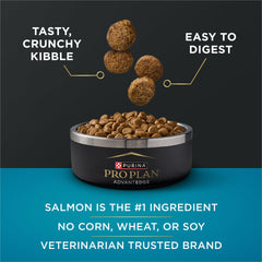 Purina Pro Plan croquettes dans la main pour visualiser portion et taille
