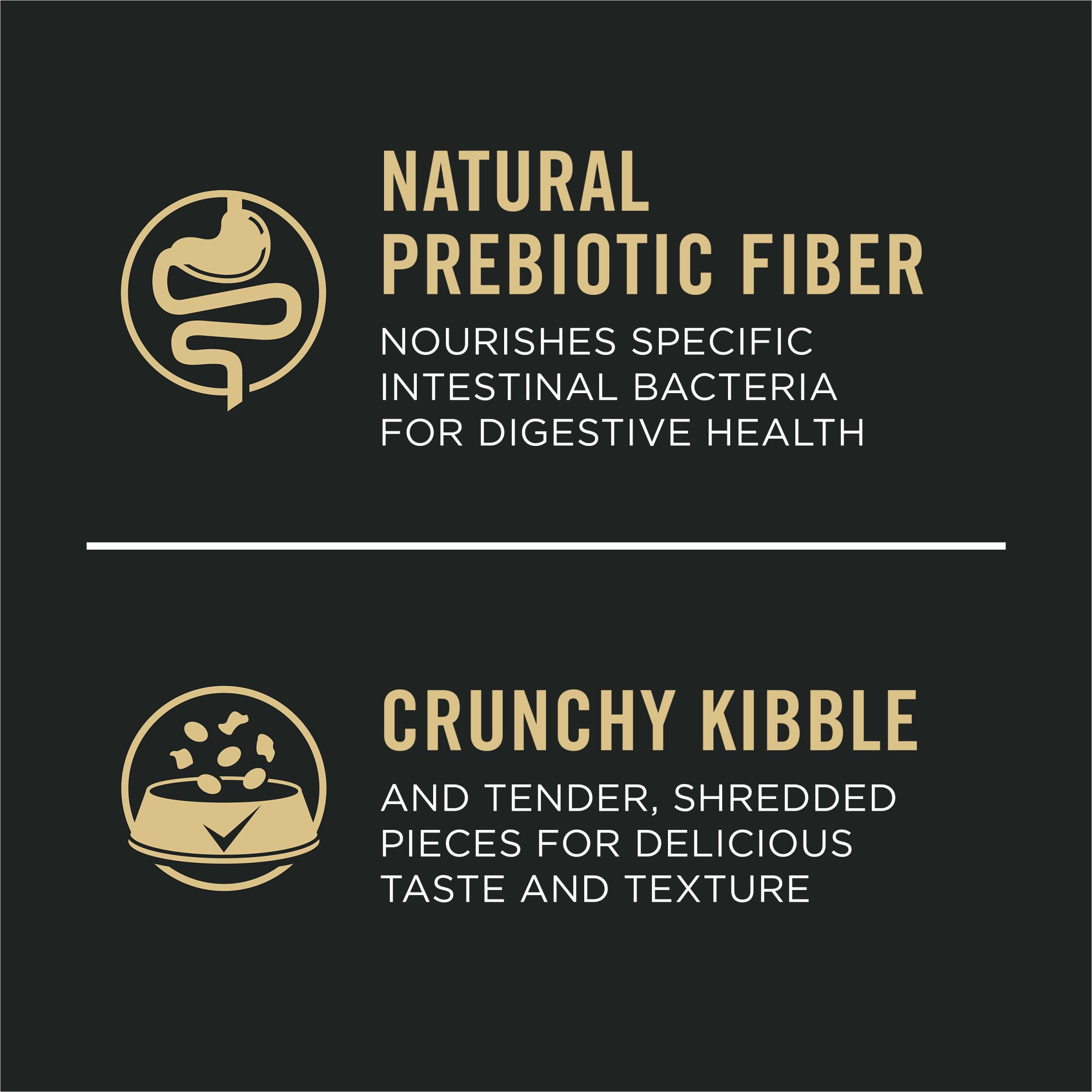 Purina Pro Plan croquettes seules montrant taille idéale pour mâcher