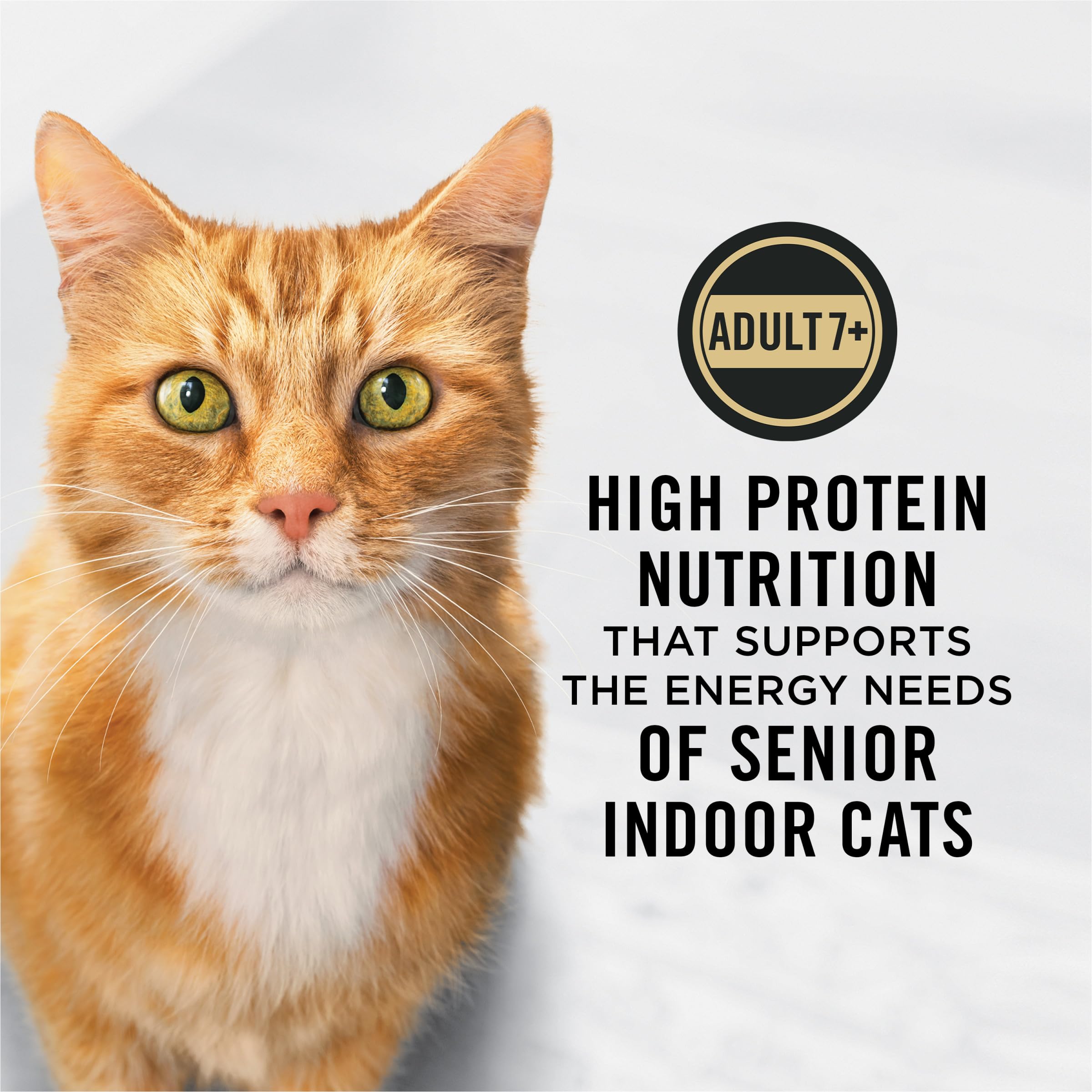 Purina Pro Plan croquettes texture rapprochée pour digestion facilitée et mâche adaptée