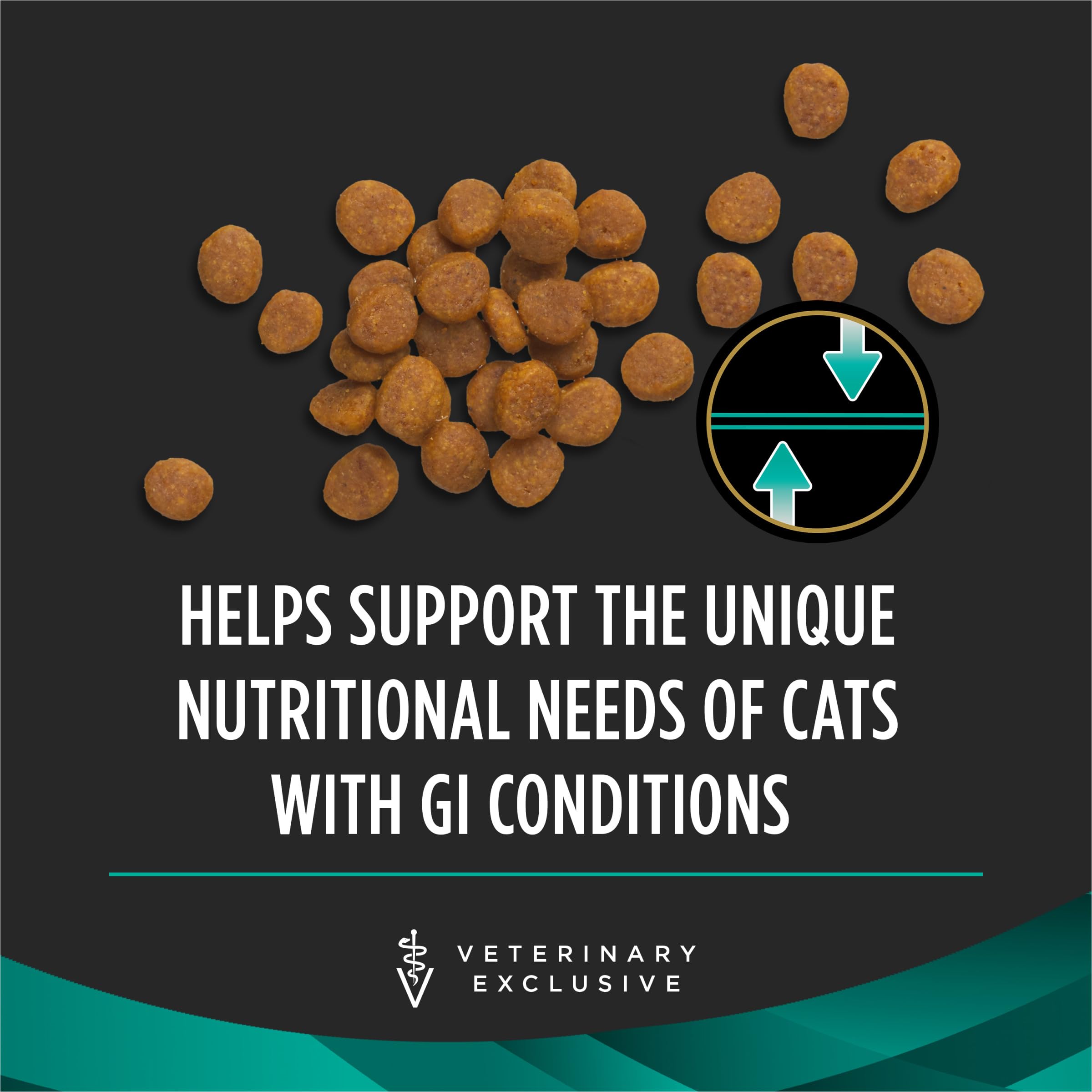 Purina Pro Plan EN chat mangeant montrant acceptation et appétit