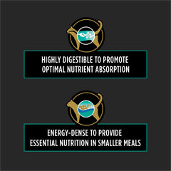 Purina Pro Plan EN gros plan sur croquettes montrant forme et appétence
