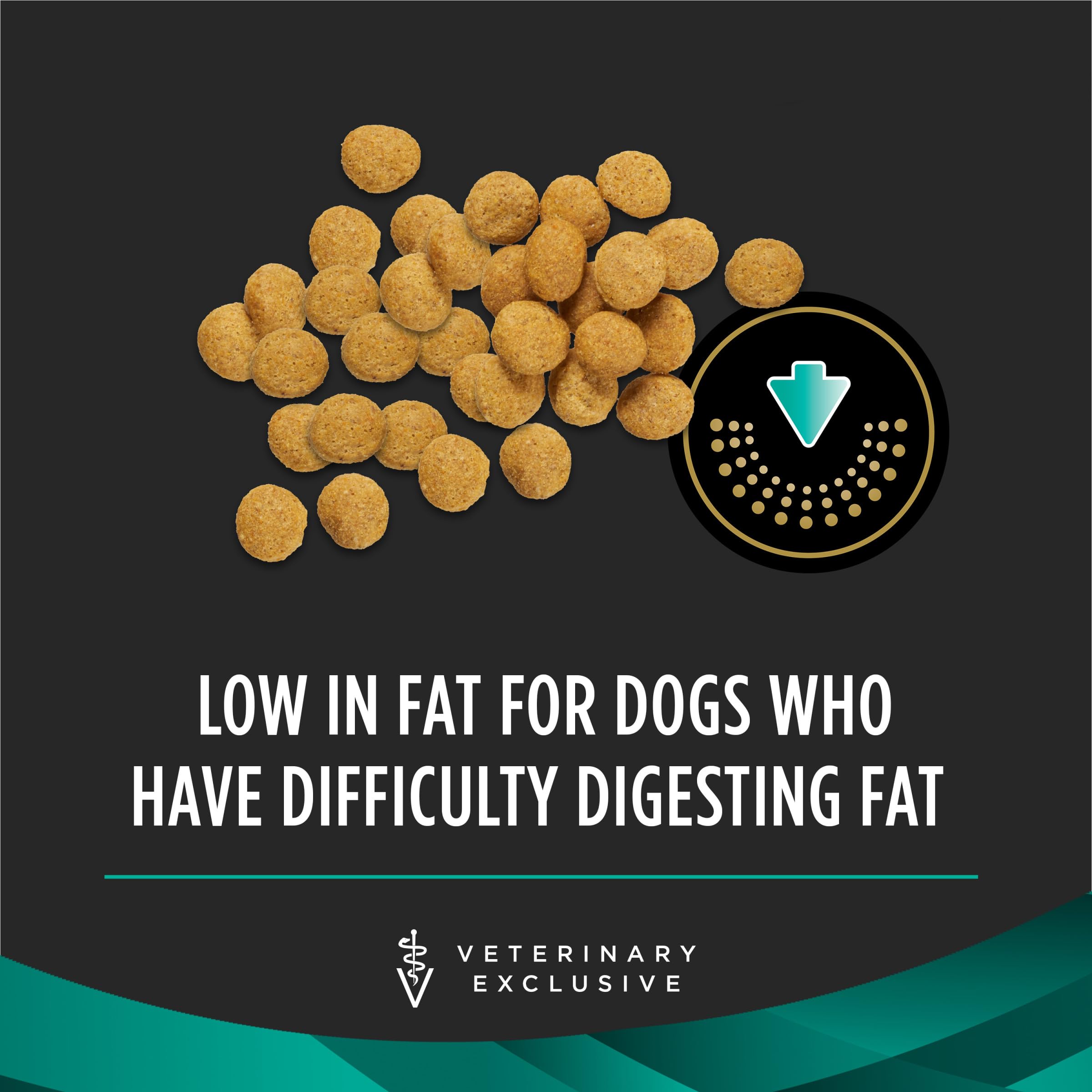 Purina Pro Plan chien mangeant la recette gastroenteric pour confort digestif
