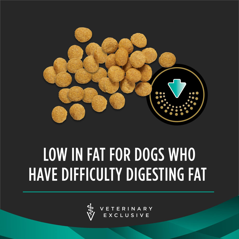 Purina Pro Plan chien mangeant la recette gastroenteric pour confort digestif