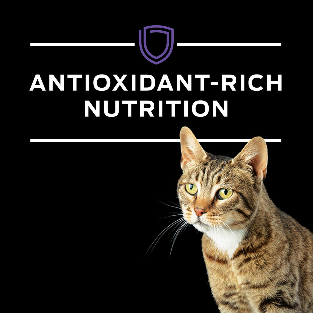 Purina Pro Plan EN huile de poisson oméga‑3 illustrant bienfaits nutritionnels