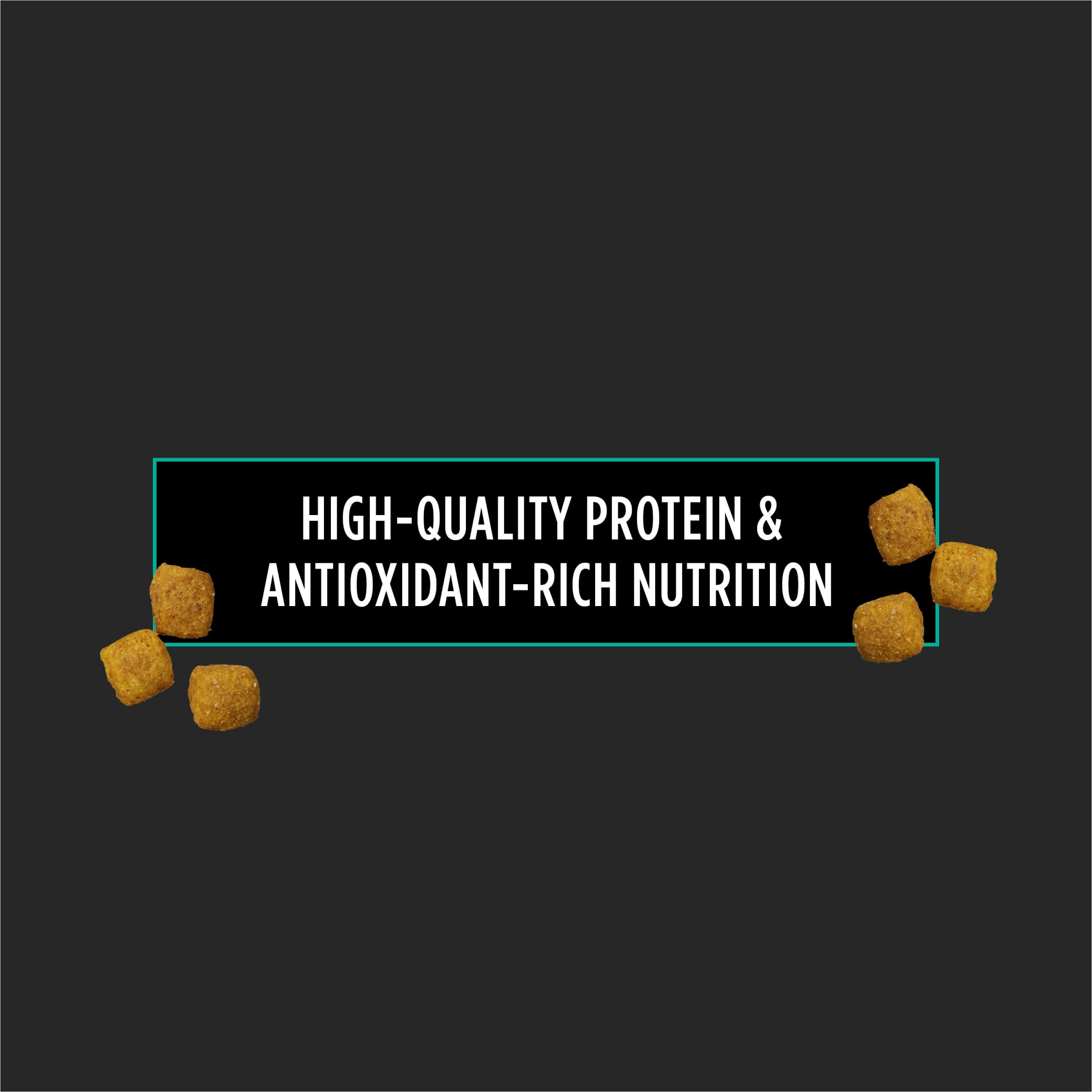 Purina Pro Plan gros plan des croquettes, texture facile à digérer