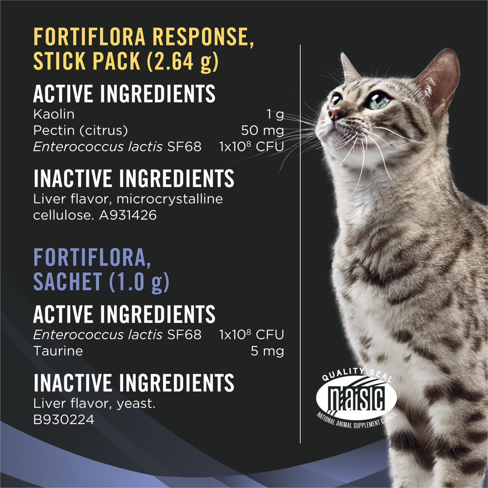 Purina Pro Plan chat mange le mélange et retrouve confort digestif