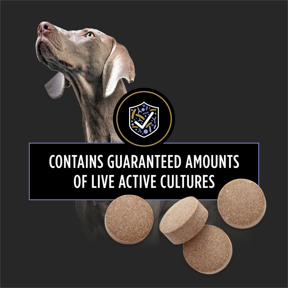 Purina Pro Plan comprimé FortiFlora dans la main, facile à donner au chien