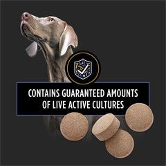 Purina Pro Plan FortiFlora saupoudré sur nourriture montrant acceptation par chien