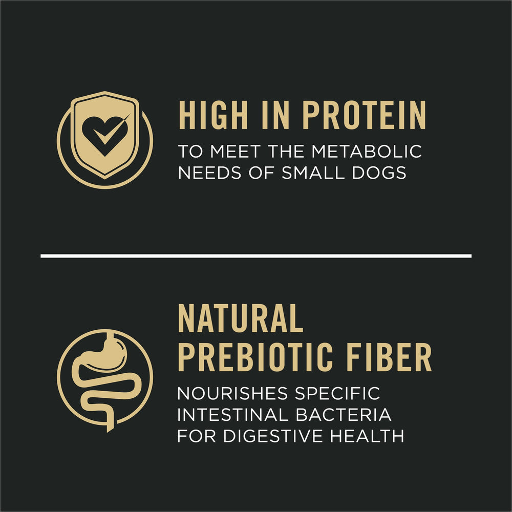 Purina Pro Plan gros plan croquette montrant texture facile à mâcher