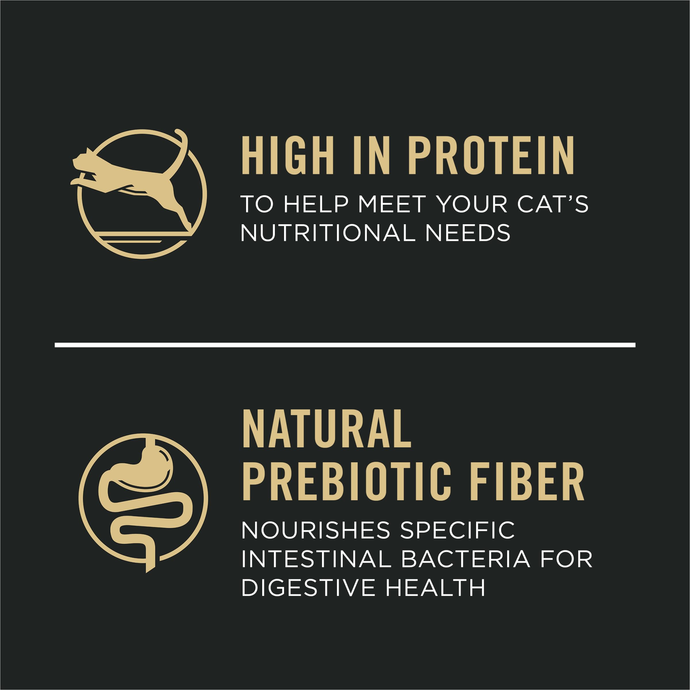 Purina Pro Plan gros plan sur la texture des croquettes pour appétence