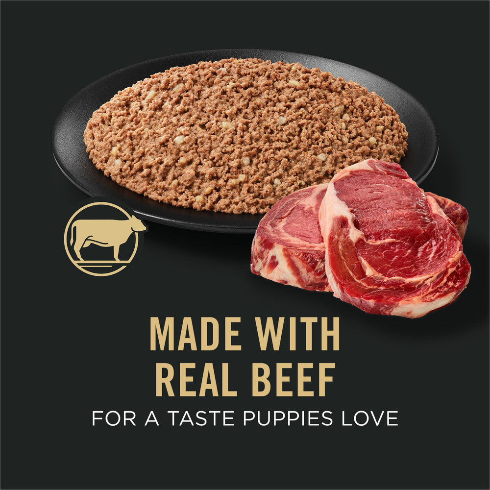 Purina Pro Plan gros plan sur la texture pour valeur nutritive claire