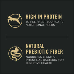 Purina Pro Plan gros plan sur la texture des croquettes pour appétence