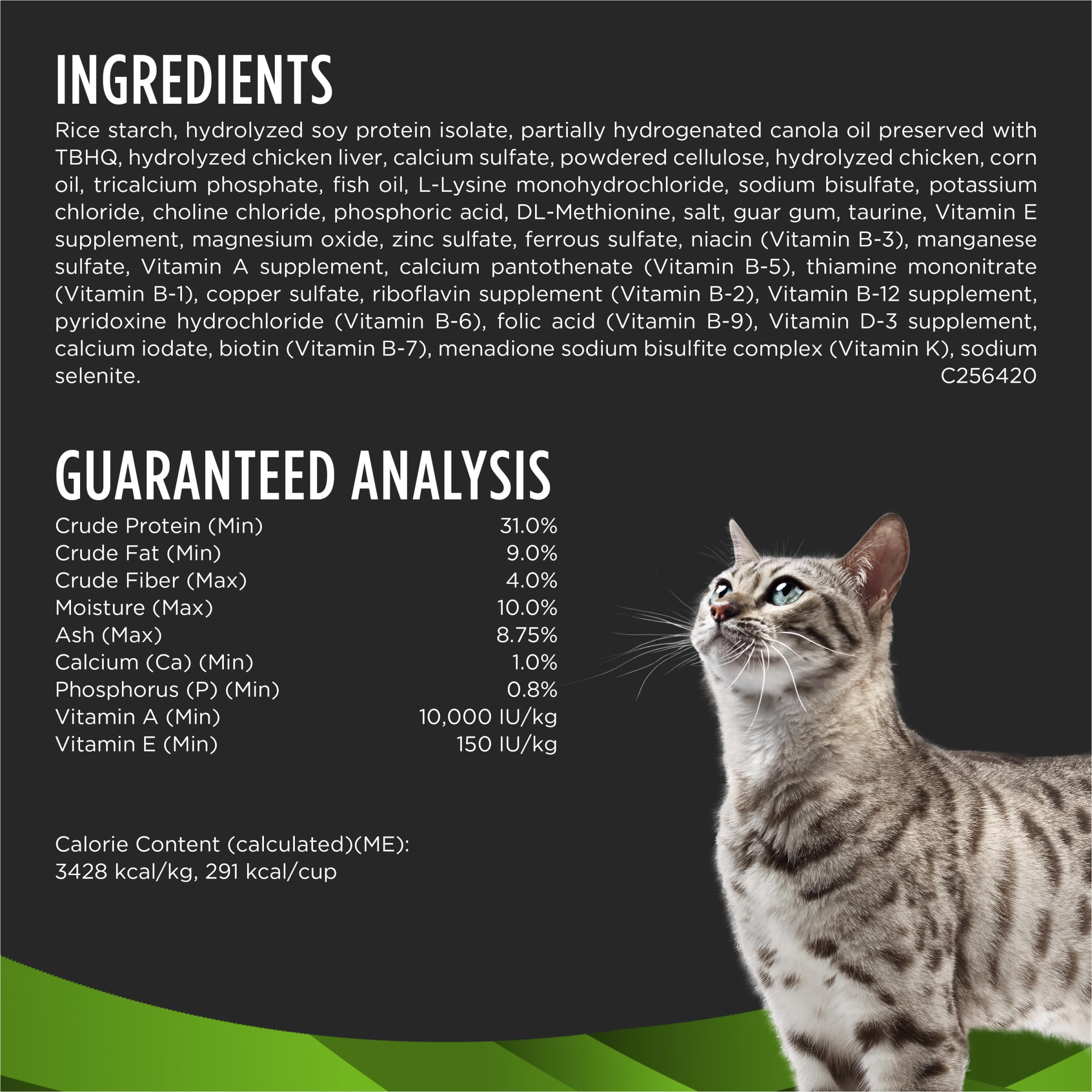 Main tenant une poignée de croquettes HA Purina Pro Plan pour visualiser la taille réelle