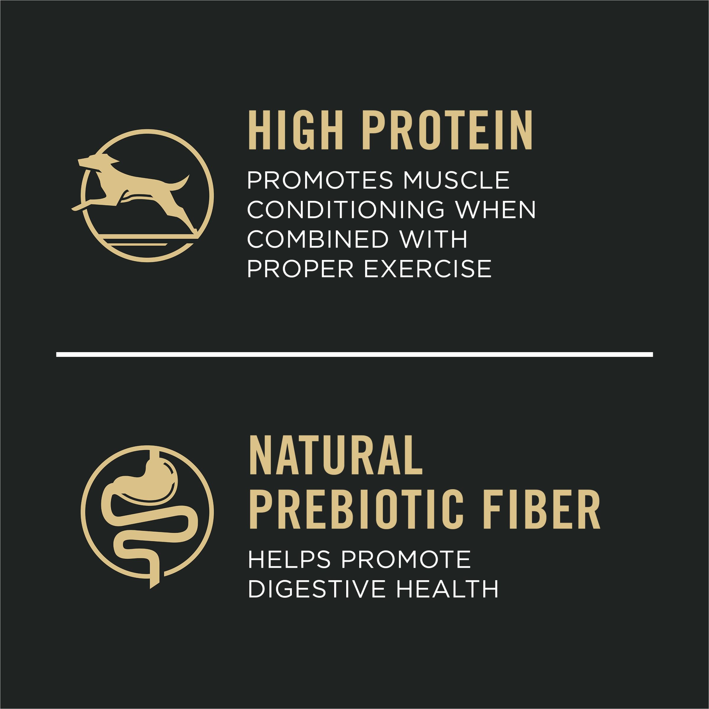 Purina Pro Plan texture des croquettes montrant densité et appétence