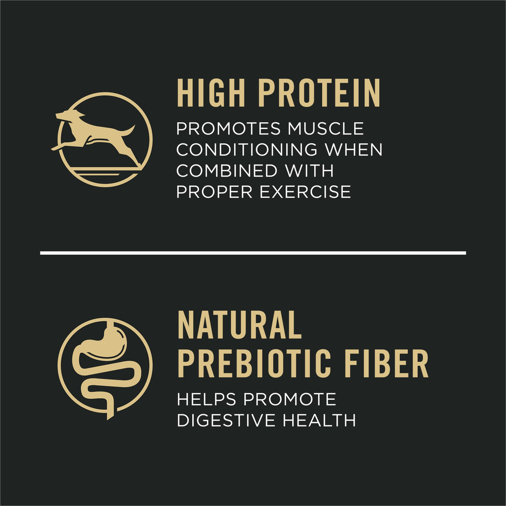 Purina Pro Plan texture des croquettes montrant densité et appétence
