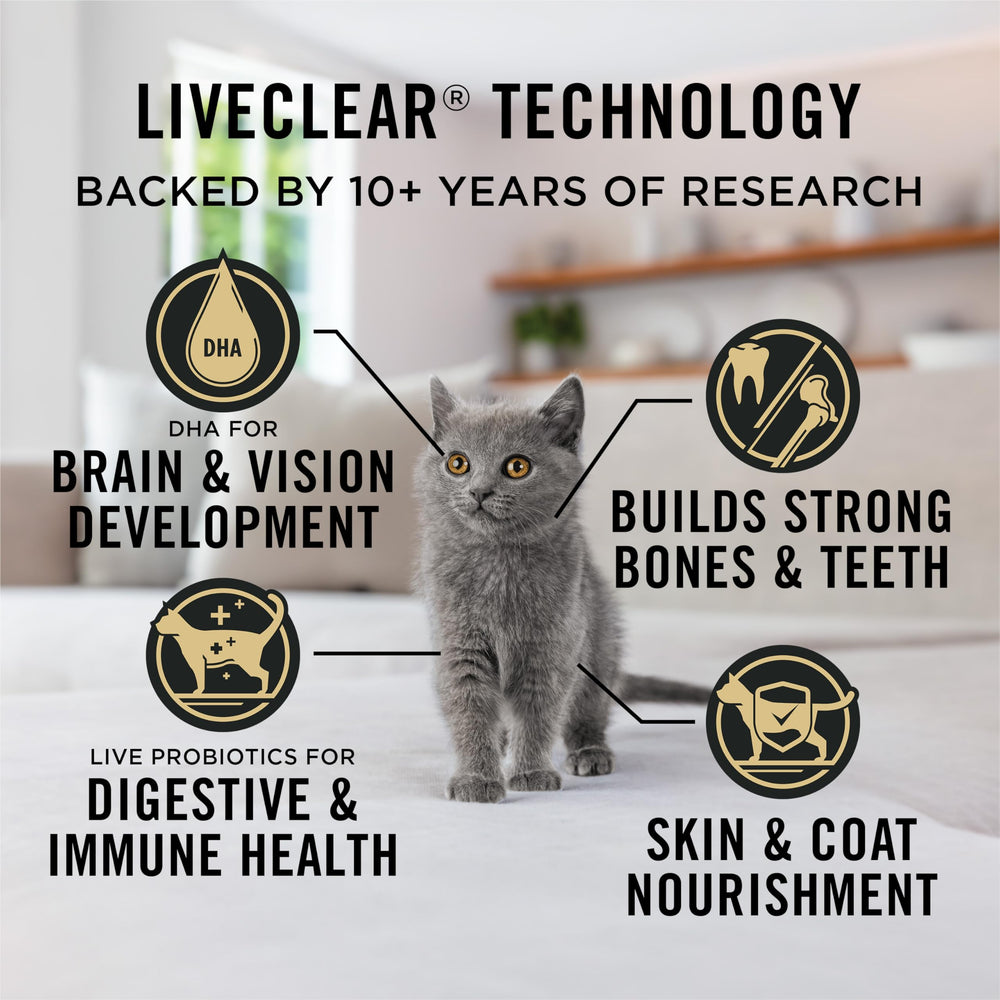 Purina Pro Plan chaton mangeant la recette poulet et riz pour croissance saine
