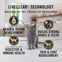 Purina Pro Plan chaton mangeant la recette poulet et riz pour croissance saine