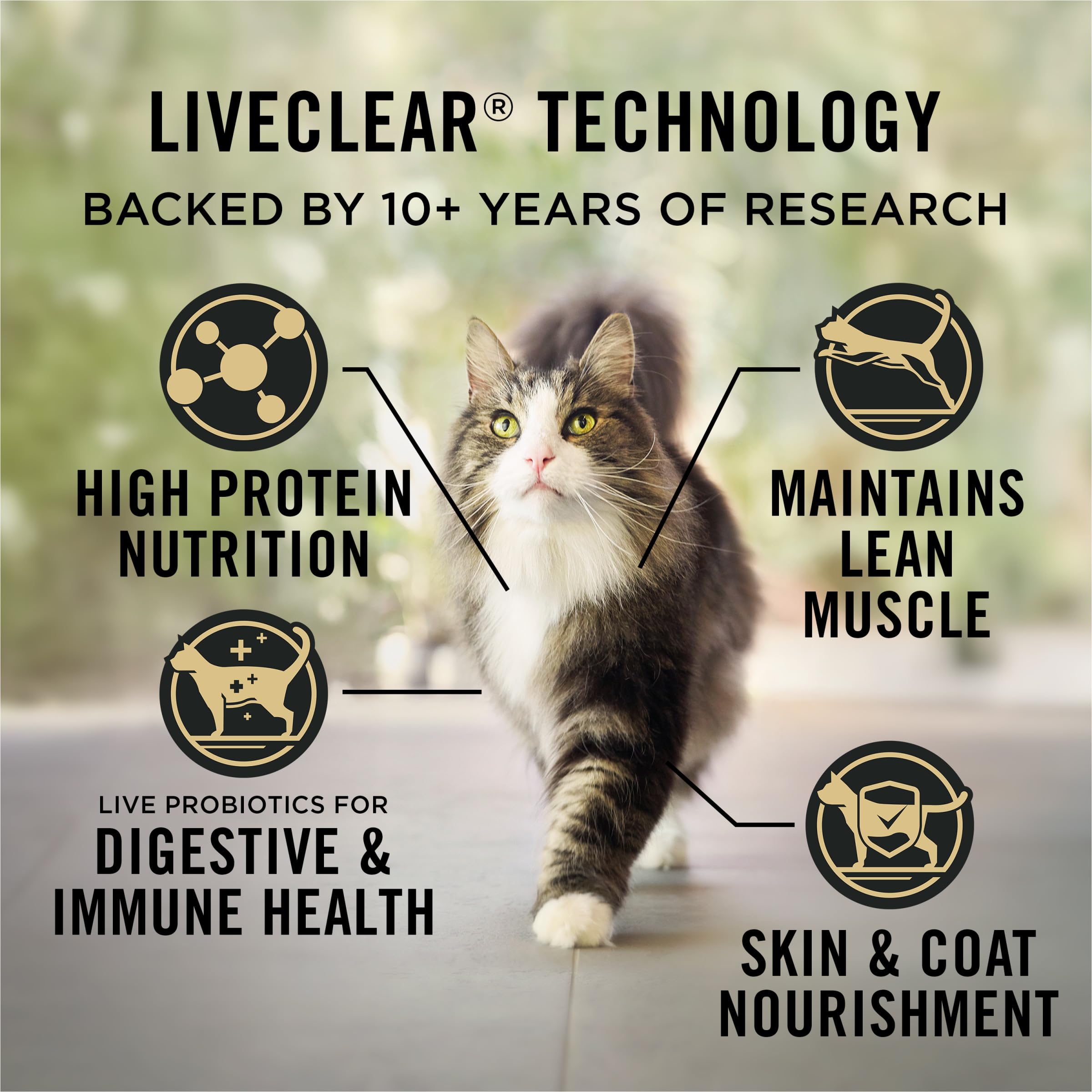 Purina Pro Plan croquettes dans une cuve illustrant portion pratique