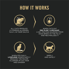 Purina Pro Plan gros plan des granules montrant texture et qualité protéique