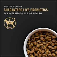 Purina Pro Plan LiveClear gros plan sur croquette pour appétence et texture adaptée aux seniors