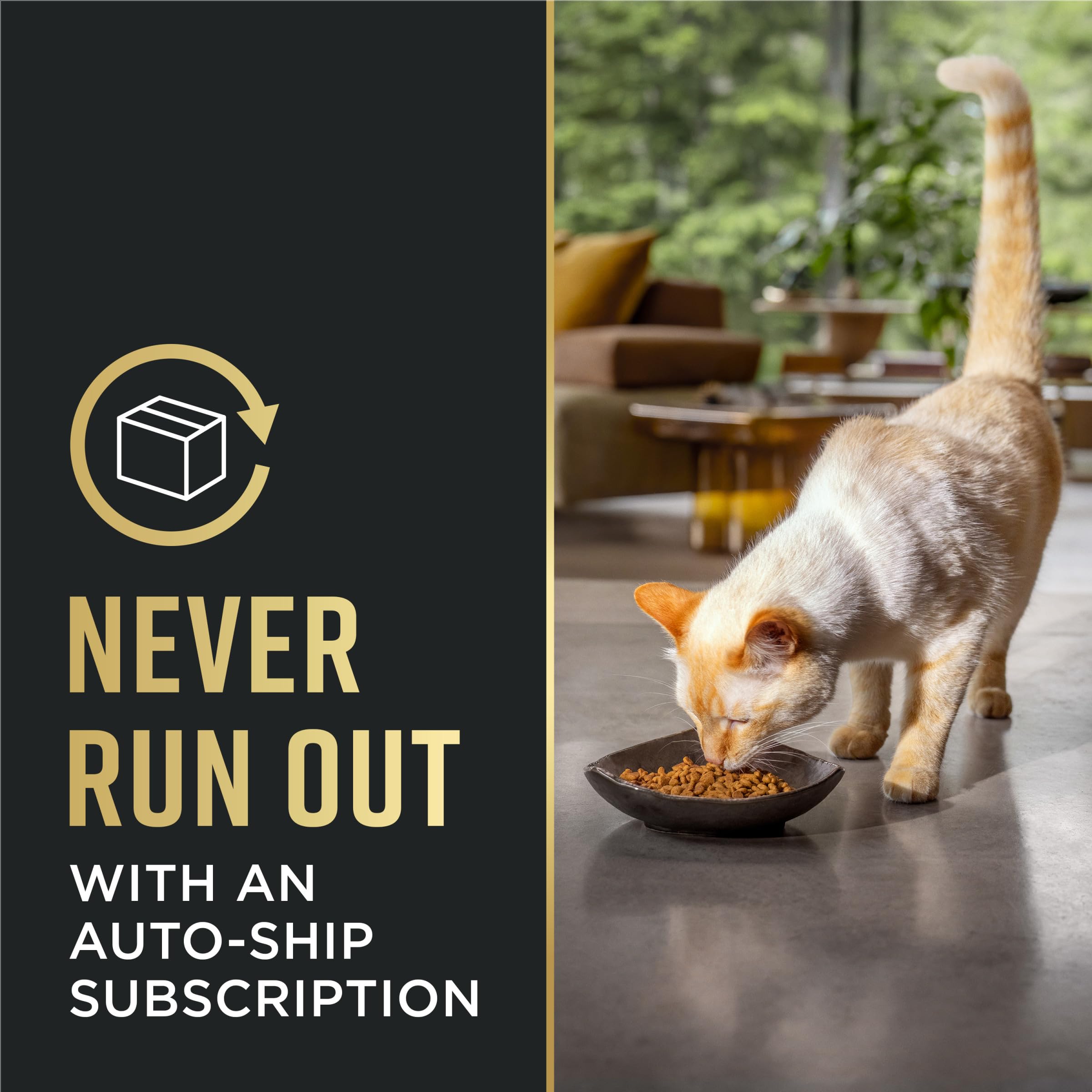 Purina Pro Plan LiveClear versement de croquettes montrant facilité d'utilisation