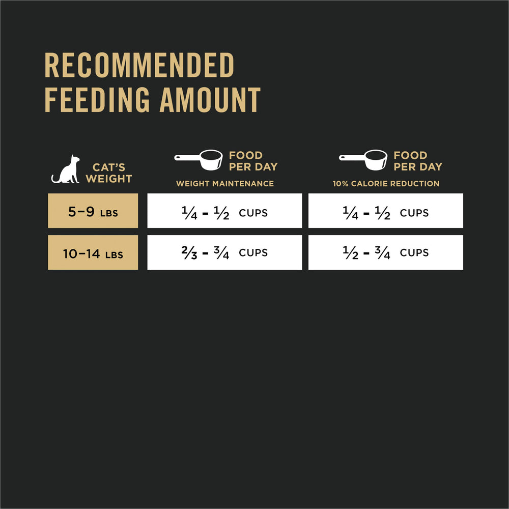 Purina Pro Plan chat sur canapé proche du propriétaire, favorise moments apaisés