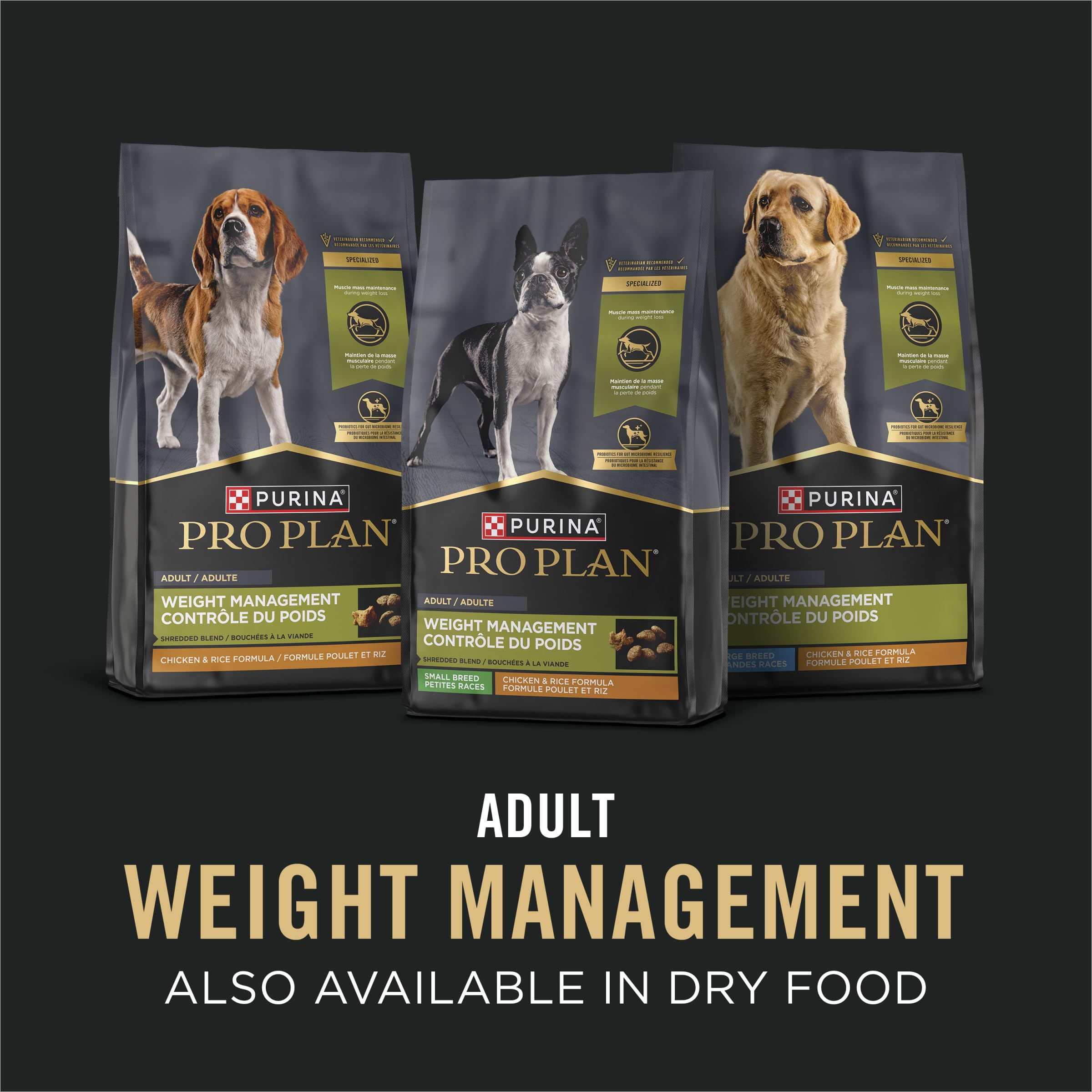 Purina Pro Plan scène lifestyle chien actif après repas bien équilibré