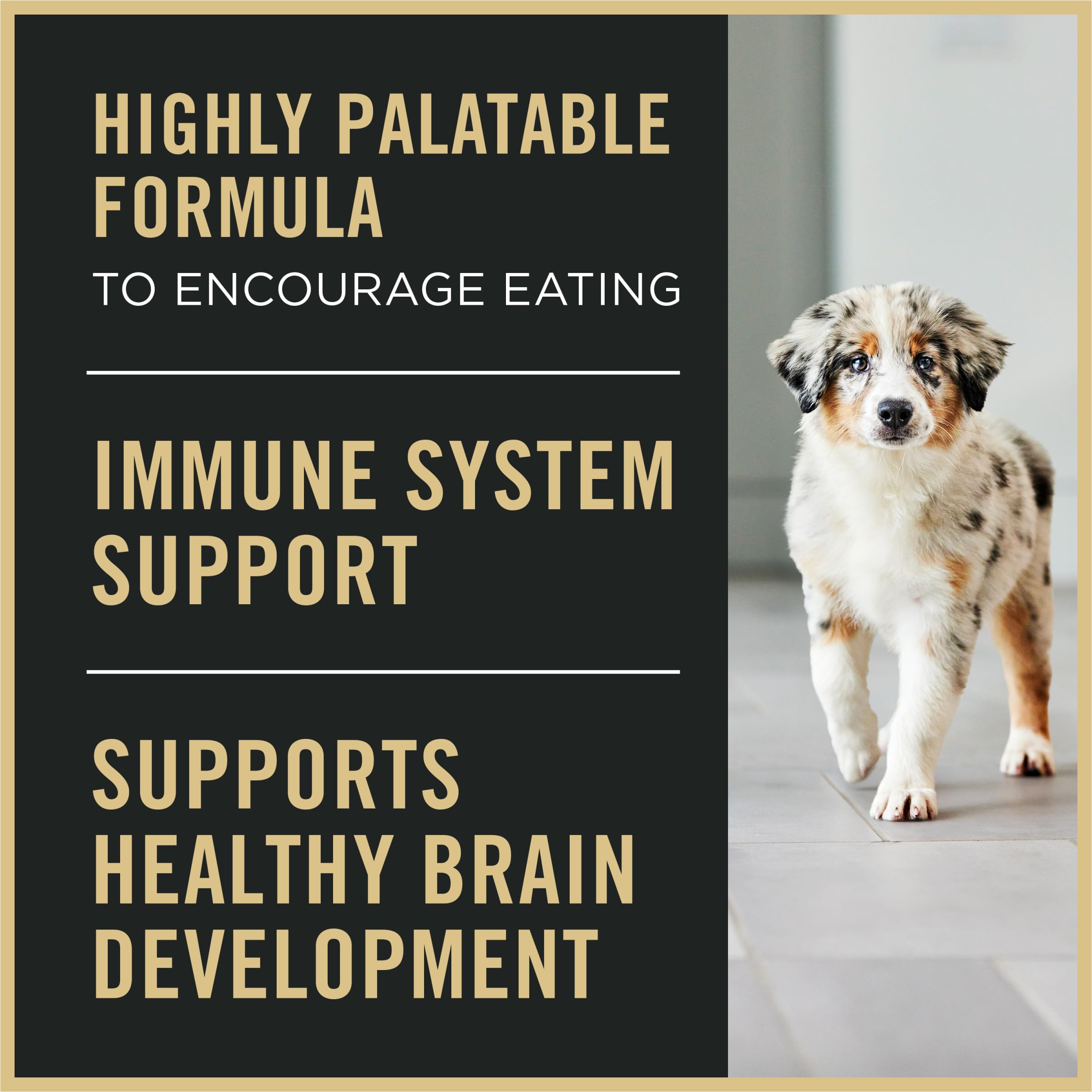 Purina Pro Plan poulet en premier ingrédient illustré pour appétence accrue